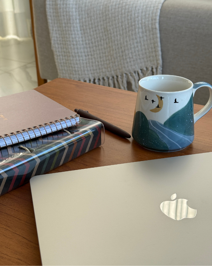 identidade-visual-mayara-brito-designer-palmas